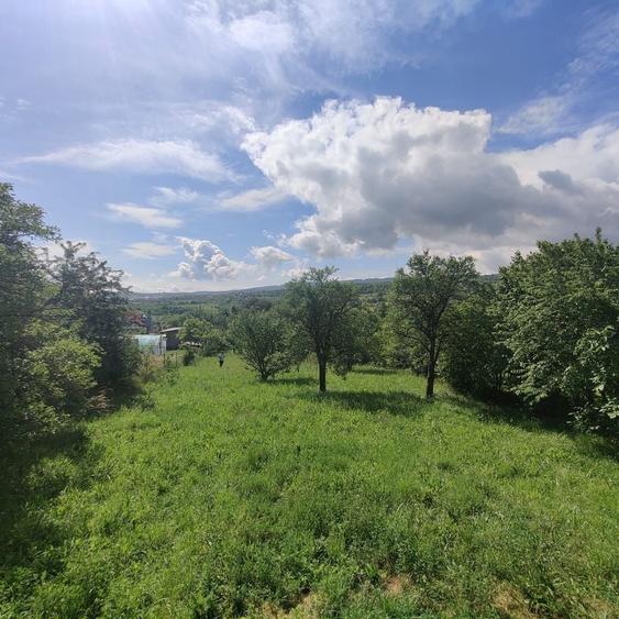 Teren de 561 mp, în Zorilor