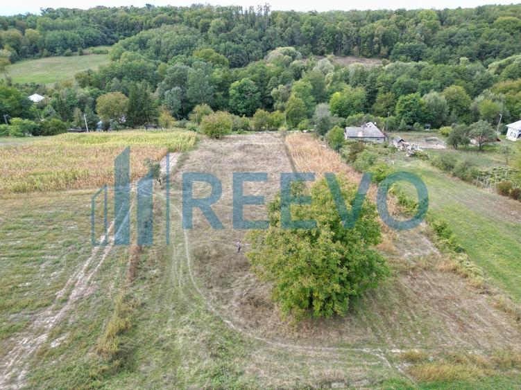 Teren Construcții intravilan de 3426 mp, în Racova