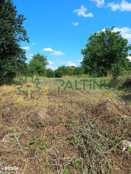 Casa cu teren 1.647 mp de vanzare Ha?ag, Sibiu - 3