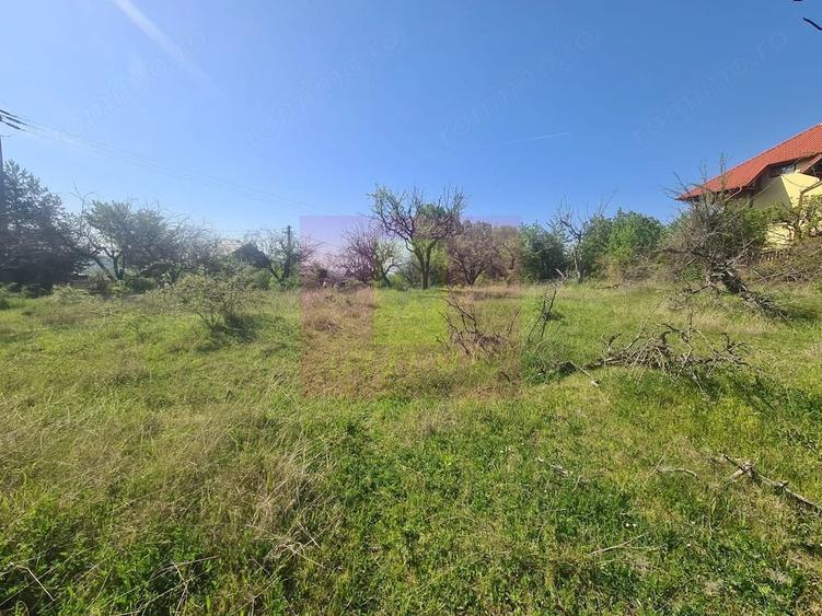 Teren de 2500 mp, în Voila