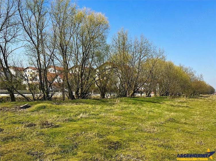 Teren de 3250 mp, în Sânpetru