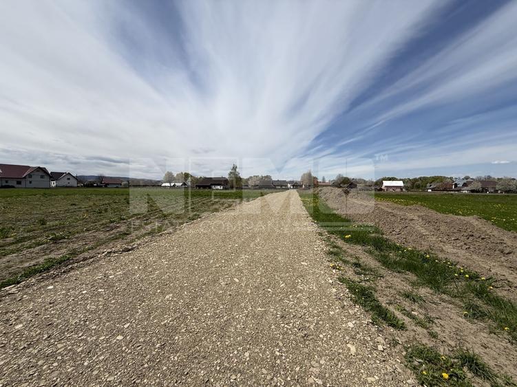 Teren Construcții intravilan de 23000 mp, în Horodnic de Jos