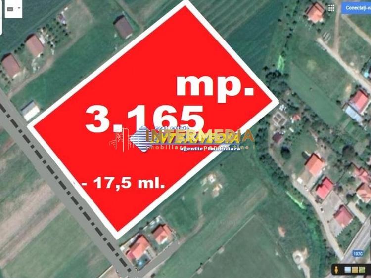 Teren Construcții intravilan de 3165 mp, în Cetate