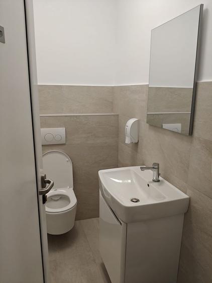 Spațiu comercial, de 133 mp, în Borhanci