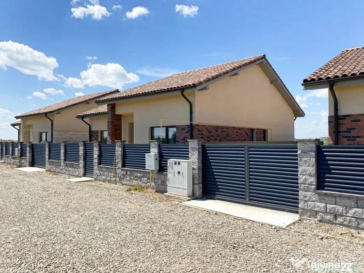 Casă cu 4 camere cu Teren 340 Mp în Bălăceanca