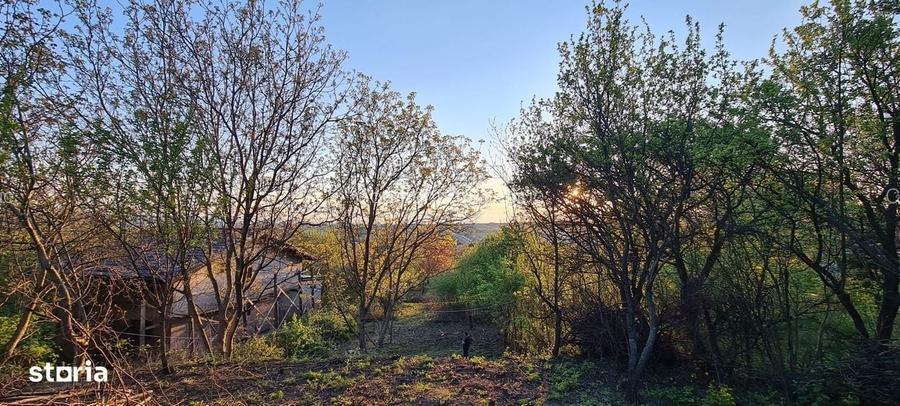 Teren pentru constructii case de vanzare Iasi Copou