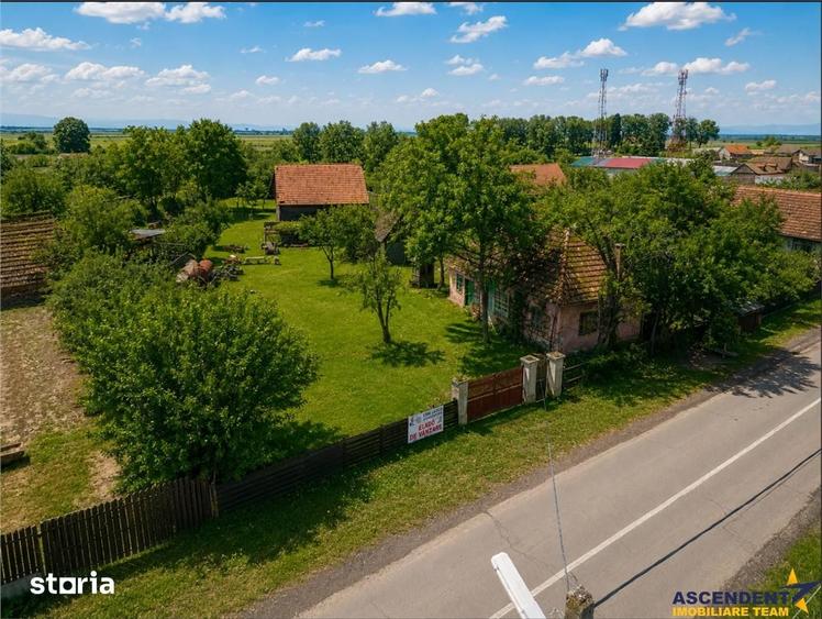 Teren de 4831 mp, în Boroșneu Mare
