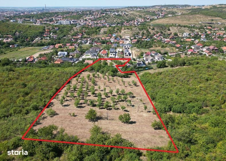 1.4 HA INTRAVILAN - Str. Sofiei - Nymphaea - IMOBIHOR - 2