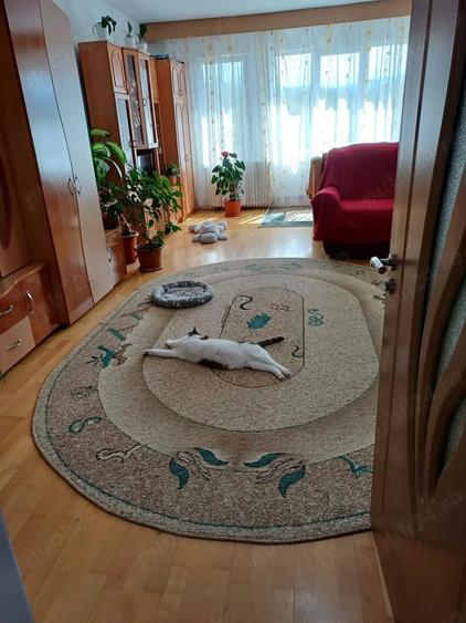 Apartament cu 2 camere decomandat în Caransebeș