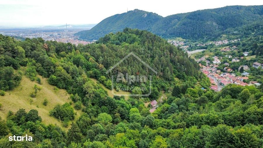 Teren Intravilan Schei Priveliste I Oportunitate Investitie - 4