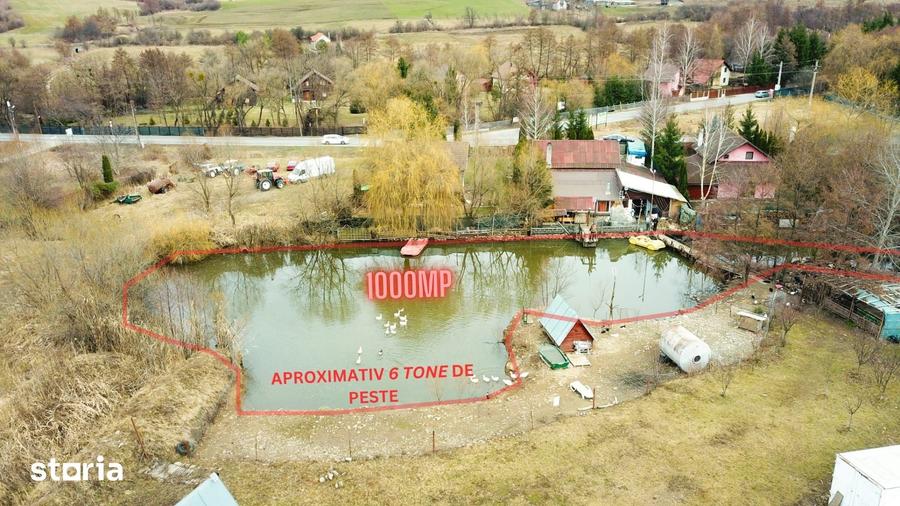 Teren de 27000 mp, în Central