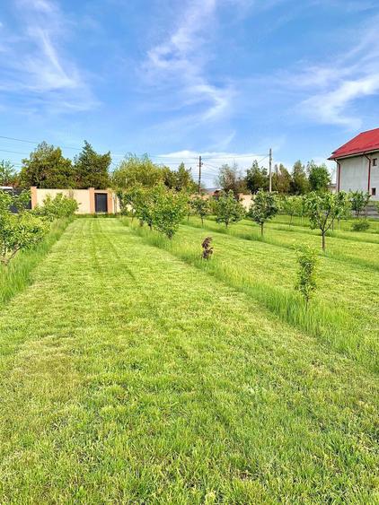 Casă cu Teren 9600 Mp în Pleșoiu