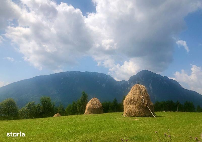 Spațiu comercial, de 1,500 mp, în Poiana Mărului