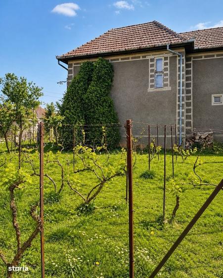 Casă cu 4 camere în Lugașu de Jos