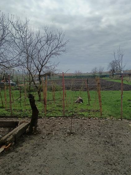 Casă individuală cu 2 camere cu Canalizare în Gornești
