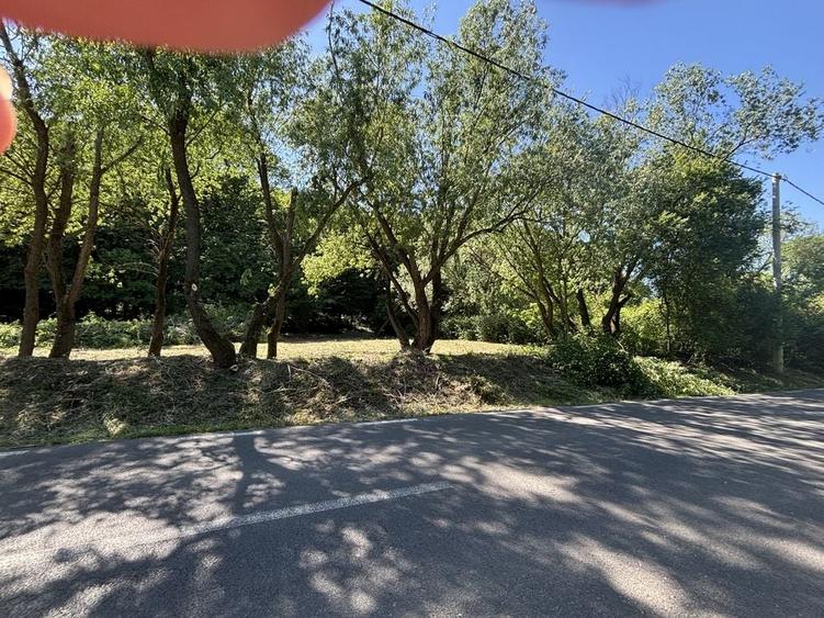 Teren de vanzare Budiu Mic | 875 mp | 4 km de Gara Targu Mures | 59.900 - 1