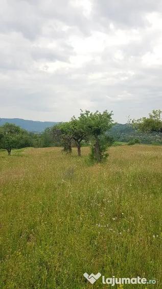 Teren în Lăschia