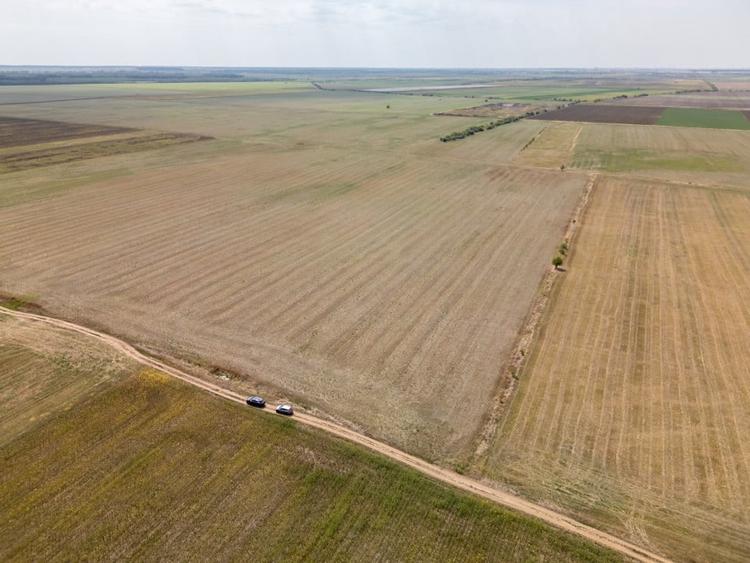 Teren Construcții intravilan de 7500 mp, în Dascălu