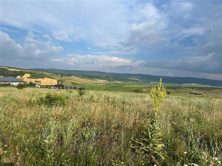 Teren agricol intravilan de 633 mp, în Ciurea