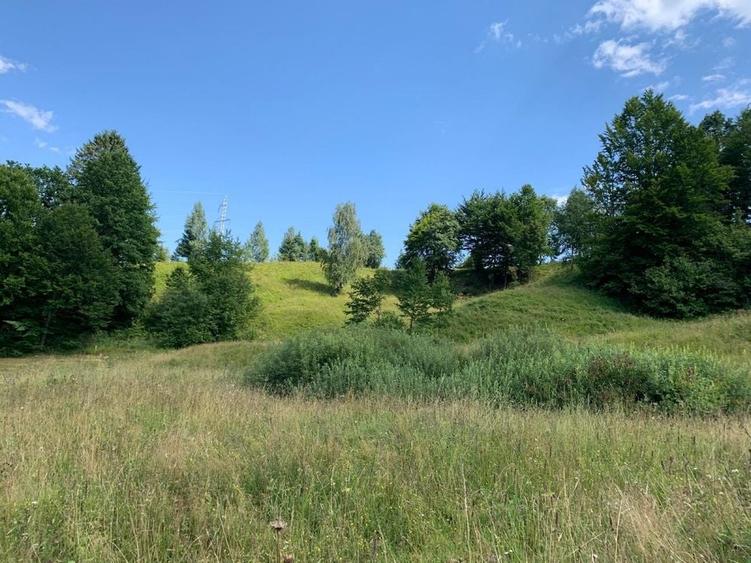 Teren de 40000 mp, în Diaconești