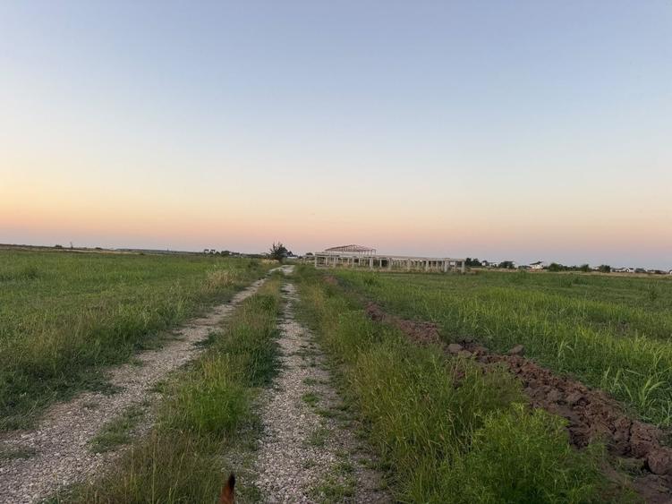 Teren agricol extravilan de 1000 mp, în Exterior Est