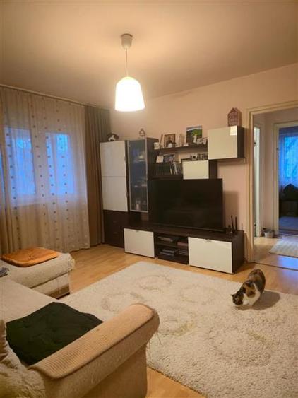 Apartament 2 camere de vanzare,  Podu Ros - 4