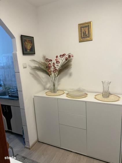 Apartament 2 camere Manastur-exclusivitate - 10