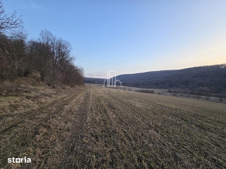 Teren de 28800 mp, în Sighișoara