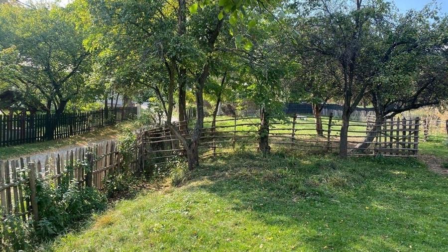 Teren de vanzare BREAZA zona Surdesti - 1
