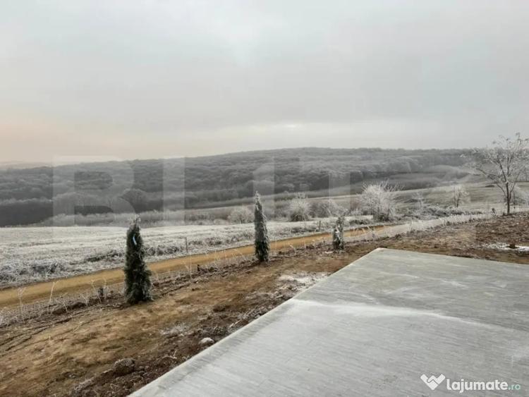 Casă cu 3 camere cu Teren 630 Mp în Săldăbagiu de Munte