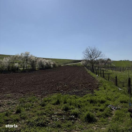 Teren de vanzare intravilan - 2