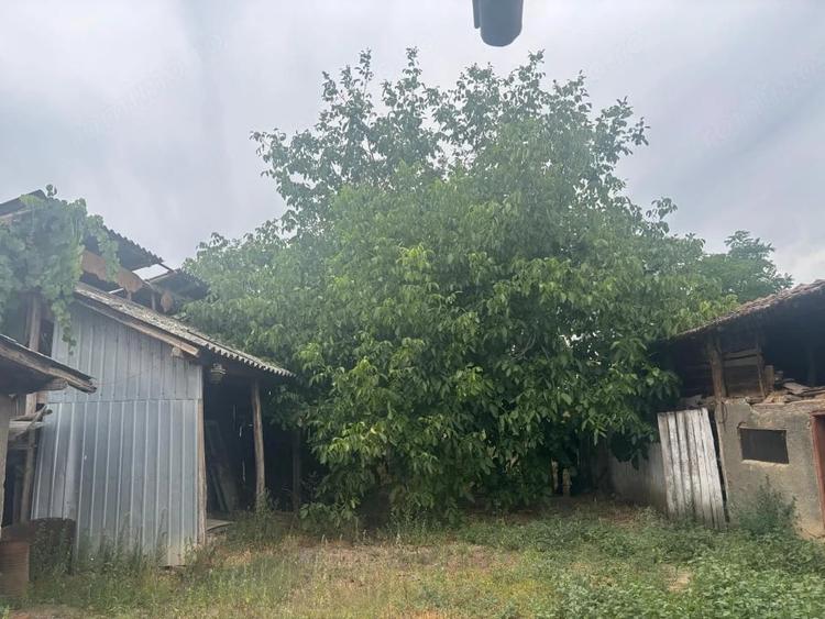 Casă cu 1 camere cu Teren 2023 Mp în Leu
