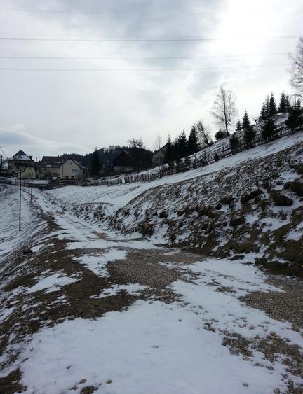 Teren extravilan de 3750 mp, în Moieciu de Jos