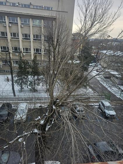 Casă individuală cu 5 camere cu Canalizare în Cotroceni