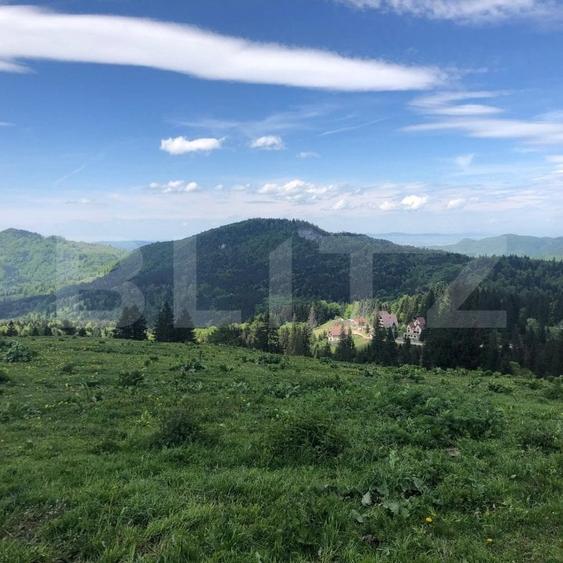 Teren Construcții intravilan de 10000 mp, în Exterior Est