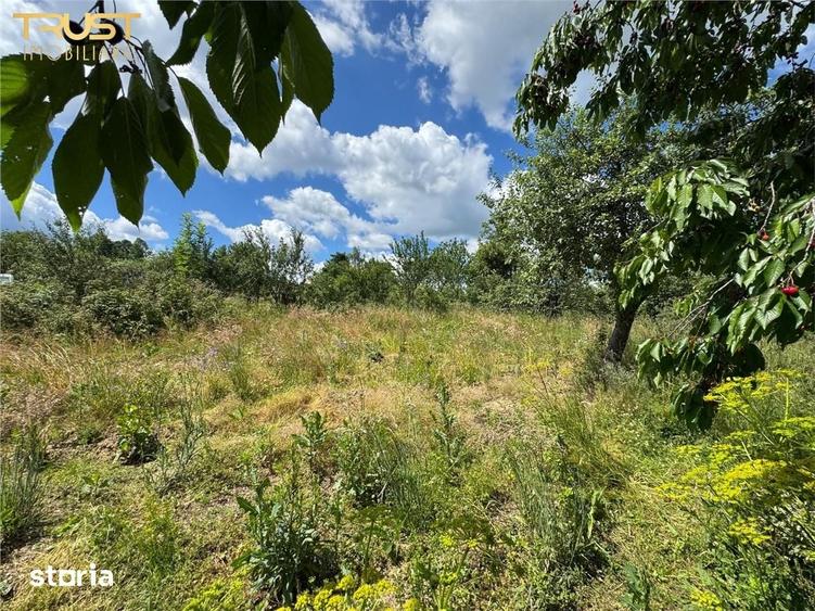 Casă cu 4 camere cu Teren 3135 Mp în Dângău Mare