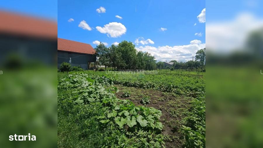 TEREN 1557MP CU UTILITA?I PRETABIBIL DUPLEX/CASA INDIVIDUALA JUCU CLUJ
