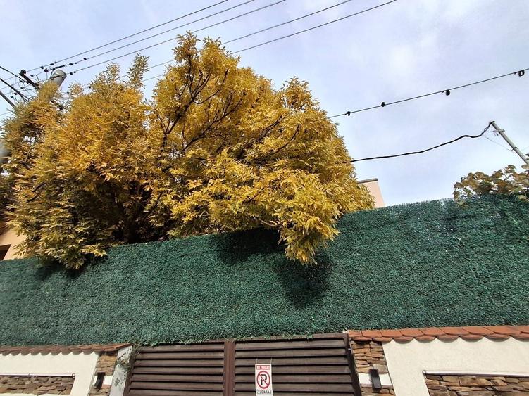 Birou, de 121.59999847412 mp, în Brâncoveanu
