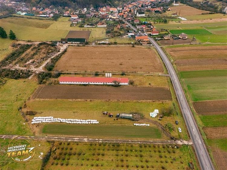 FILM! Ferma de iepuri,Malnas,Covasna: domeniu:industrial/comercial,asset UE - 23