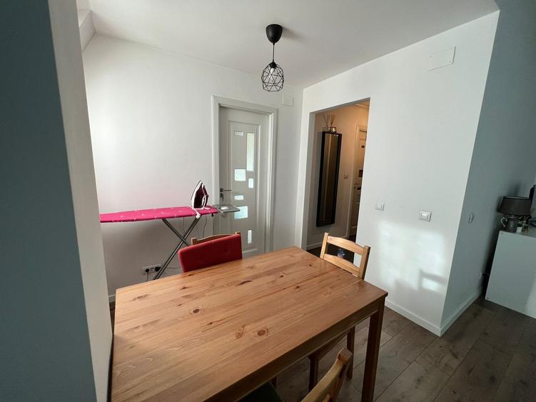 Cartier Brancusi ANL Coloana infinitului - 12