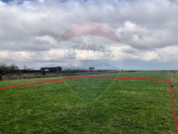 COMISION 0% | Teren intravilan | 500 mp | Utilități in apropiere - 2