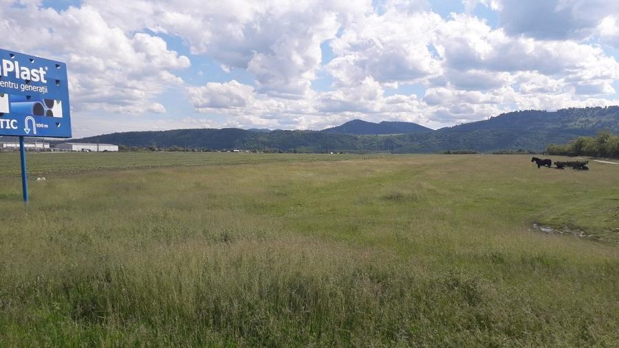 Teren intravilan 8900 mp,Dumbrava Rosiejud Neamt - 6