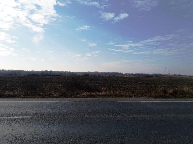 Lot 6,3 ha la DN6, Remetea Mare - PUZ, linga viitorul sens giratoriu - 4