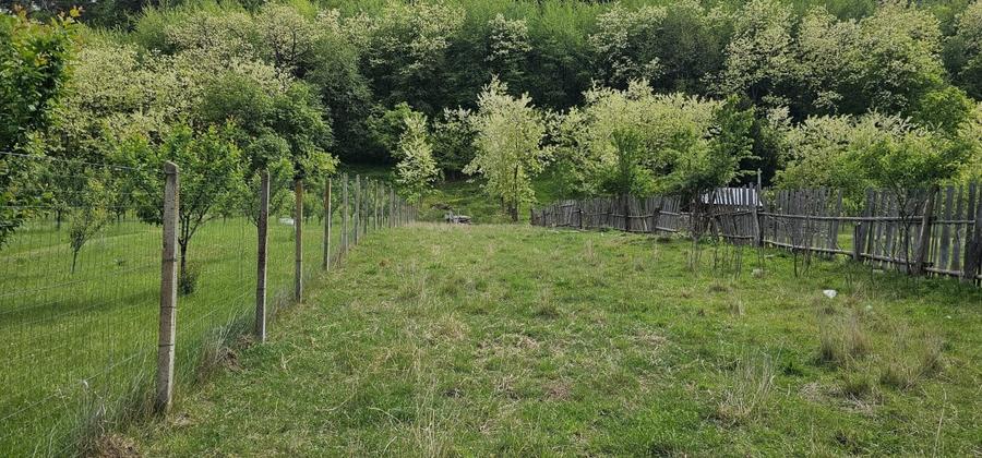 Casa de vanzare si fabrica de paine, zona Darmanesti! - 17