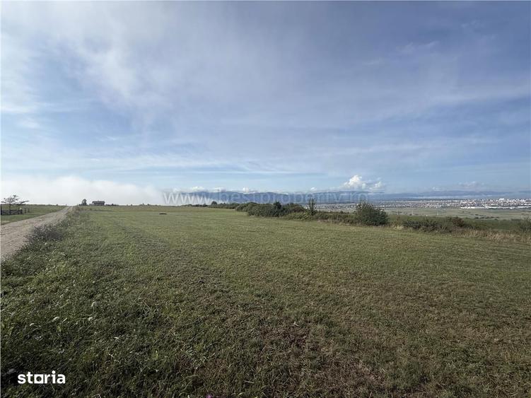 Teren de vanzare Sibiu - Selimbar zona Dealul Daii - Platoul Zorabia - 7