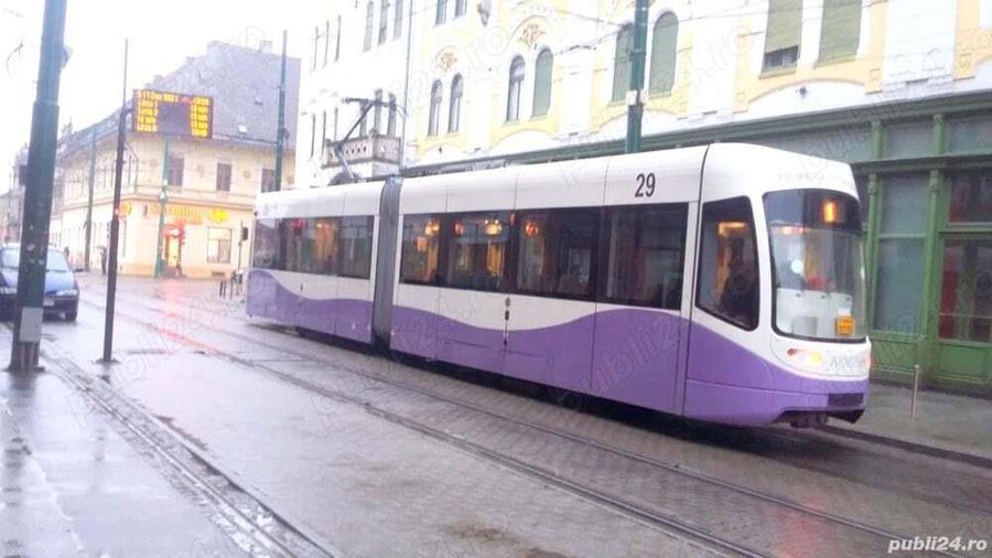 Traian Garsoniera la casa - 8