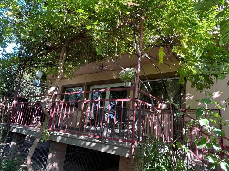 Casă individuală Buftea, 3.162 mp teren, ieșire spre lac - 29