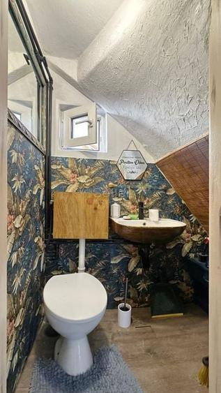 Zona Centrala Acces Facil - 13