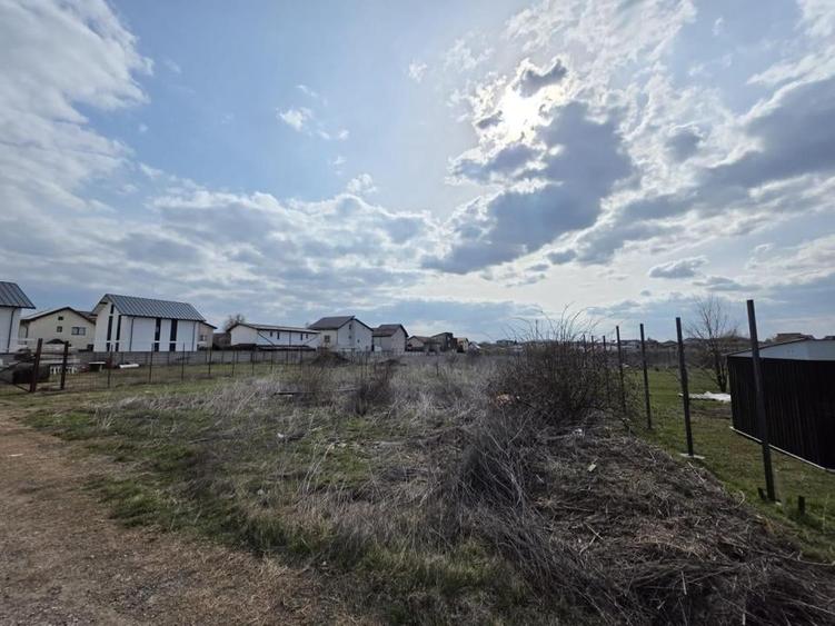 Teren intravilan Dobroesti - 4