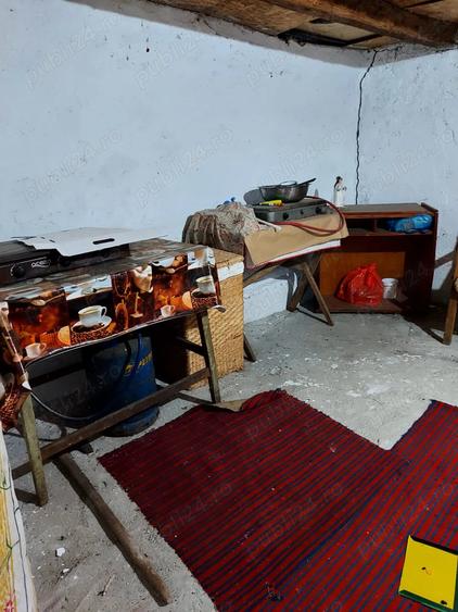 Casa batraneasca de vanzare - 4